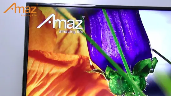 Guangzhou Factory Cheap Price 15 17 19 20 HD LED LCD TV LCD LED TV 19 22 24 Inch Glass Television SKD